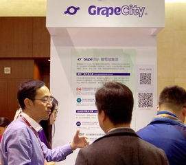 2016微软技术大会 葡萄城助力企业数字化转型