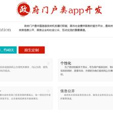 长沙政府门户原生APP网站建设 定制 网站制作APP开发制作