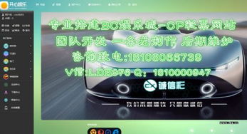 制作开发cp bc网站平台