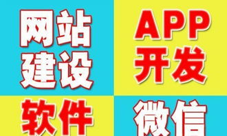 长沙网站建设推广 app开发 软件开发 微信公众号