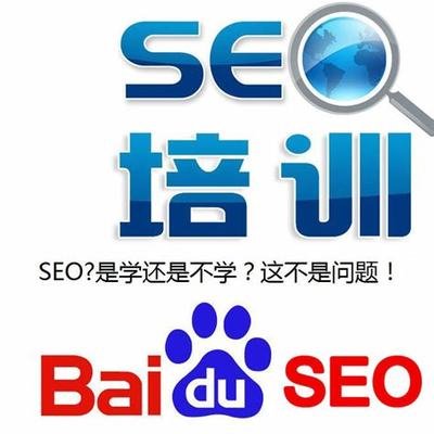 长沙哪个平台做seo好解读_长沙派绅(2025年02月精选)