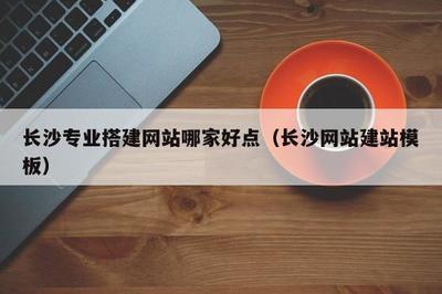 长沙专业搭建网站哪家好点(长沙网站建站模板)